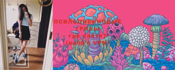 стафф Балахна